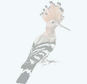 Bird ornament